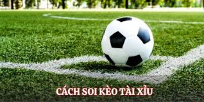 Cách Soi Kèo Tài Xỉu Chuẩn Xác – Đặt Cược Chắc Tay Ở VVVwin 1 cach soi keo tai